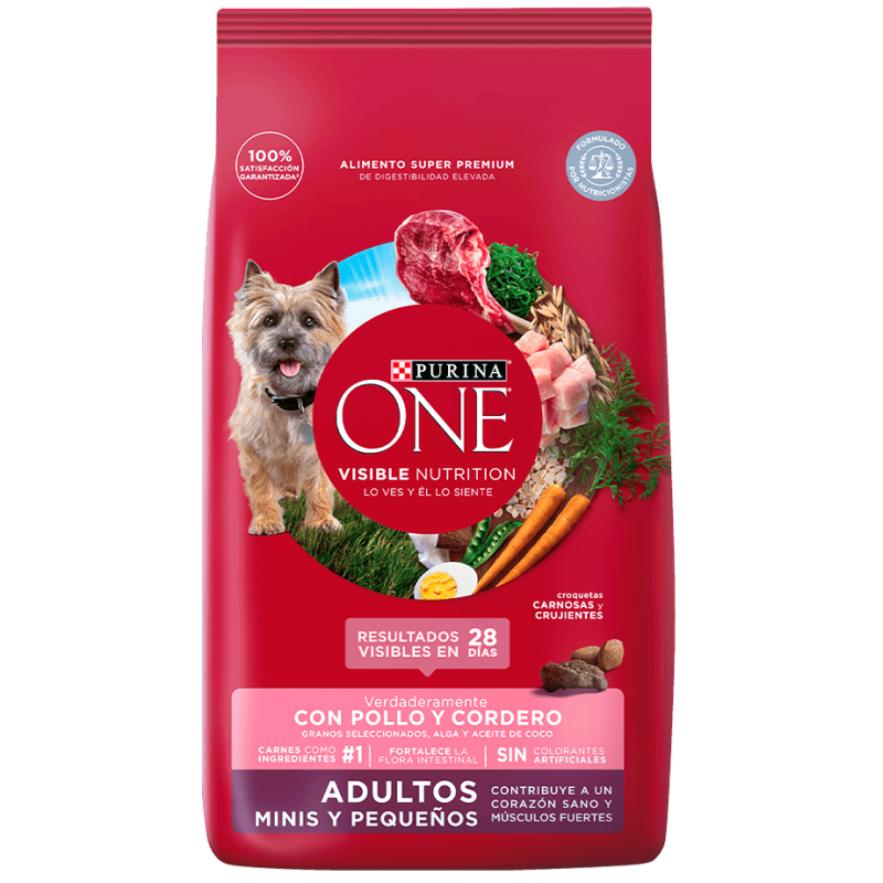 ONE ADULTOS MINI PEQ POLLO Y CORDERO 2KG