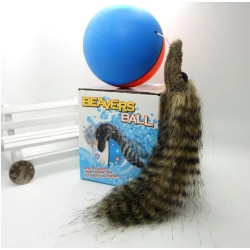 BEAVERS BALL REF 11431