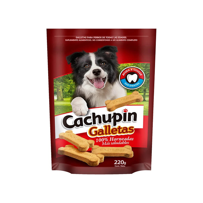GALLETAS CACHUPIN 220G