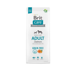 BRIT CARE ADULTOS SALMON 12KG