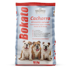 BOKATO CACHORRO 10KG